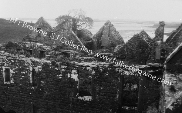 MOYNE ABBEY : IN THE  CLOISTERS